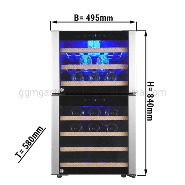 Dual-Zone Wine Fridge Dual-Temperature Wine Cooler with CE Approval