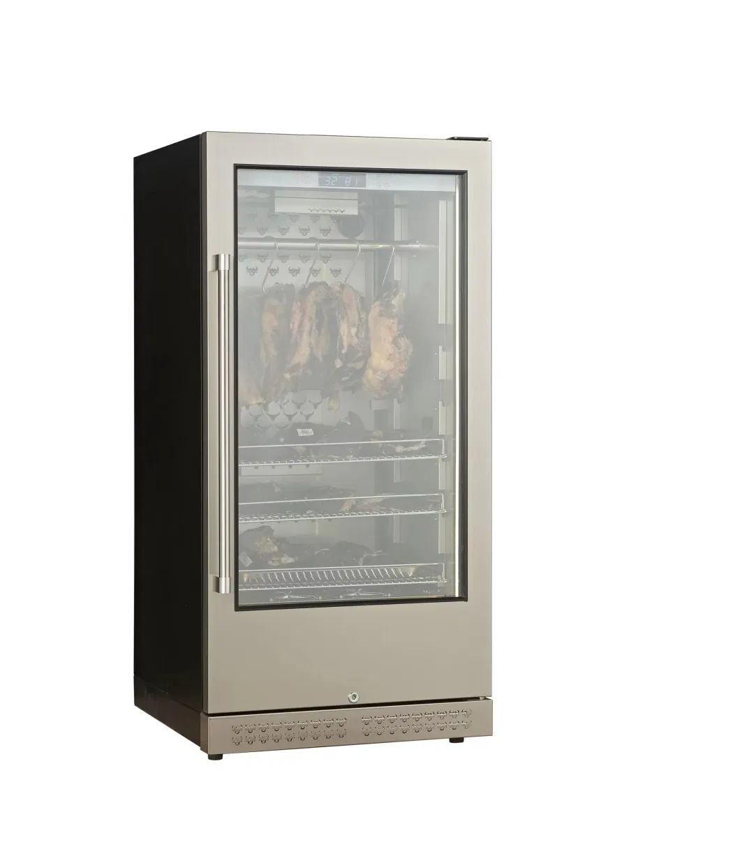 Hotsale Wholesale Commercial Dry Aging Hanging Meat Aging Refrigerator for Meat Aging Refrigerator