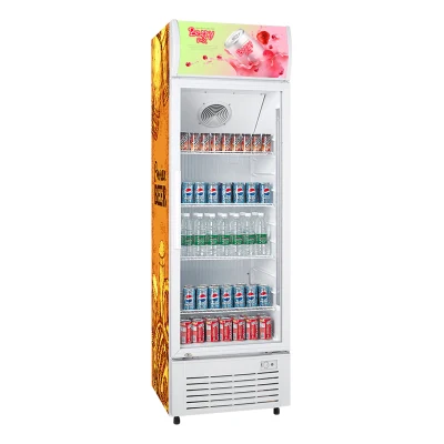 Small Beverage Fridge Built in with LED Light Box and Logo 300 Liters